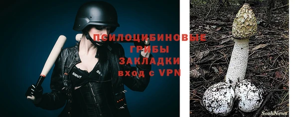 a pvp Ростов