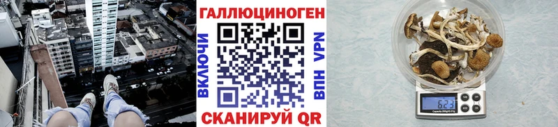 Псилоцибиновые грибы прущие грибы  Шарья 